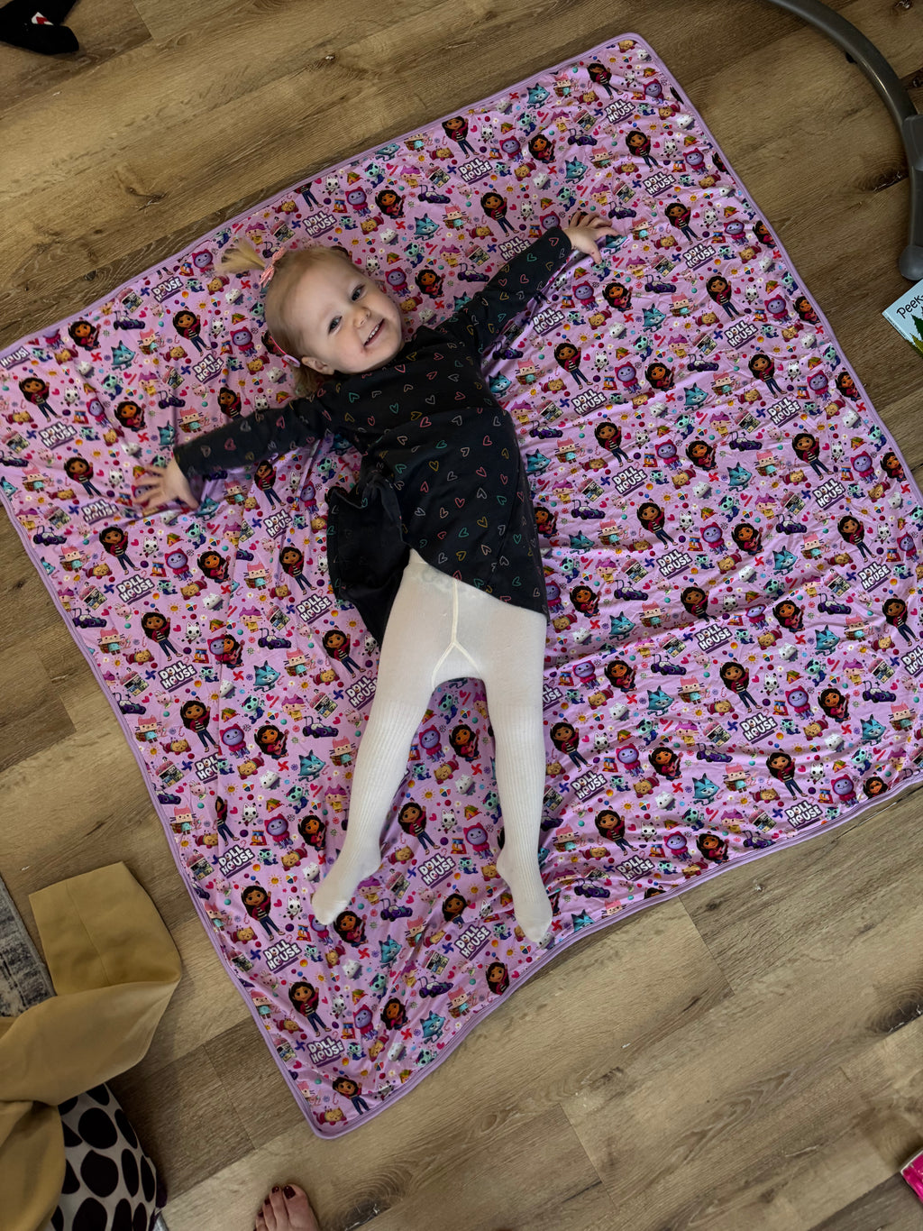 Gabbys Dollhouse Blanket
